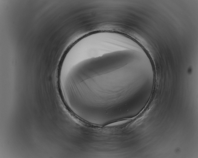 X0000094221045200711241717