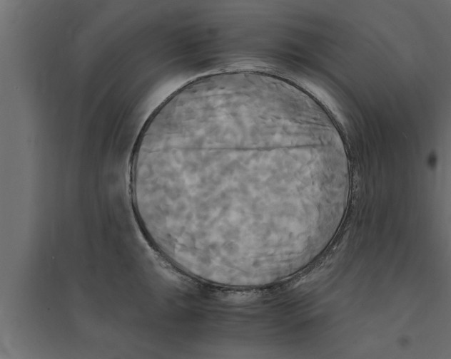 X0000094221047200711241717