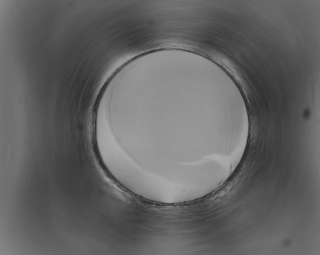 X0000094221048200711241717