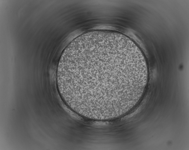 X0000094221049200711241717