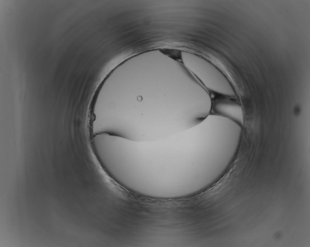 X0000094221050200711241717