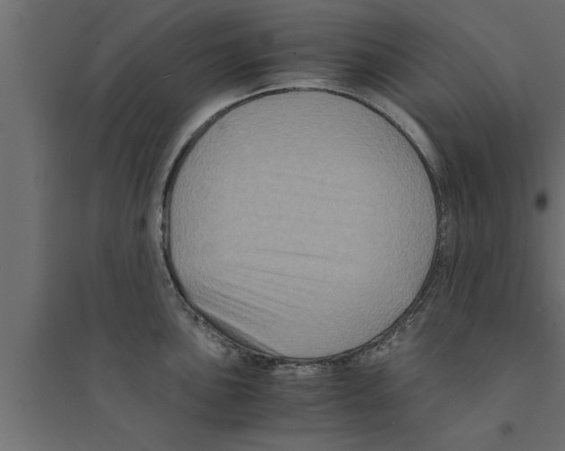 X0000094221051200711241717