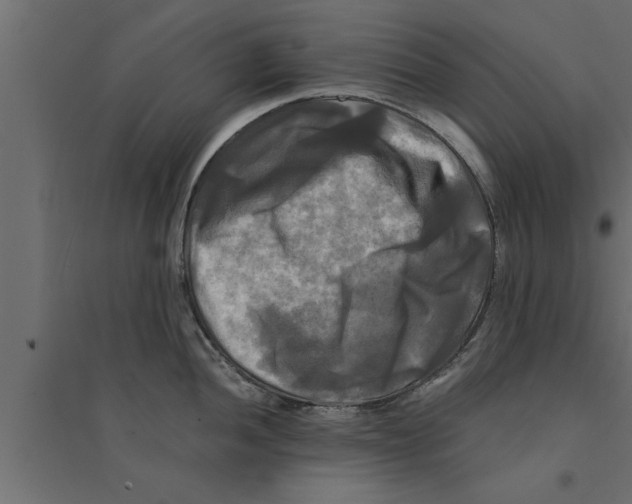 X0000094221052200711241717