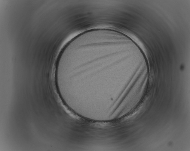 X0000094221053200711241717