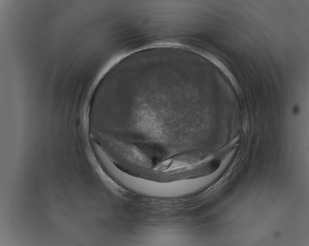 X0000094221054200711241717