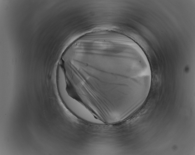 X0000094221055200711241717