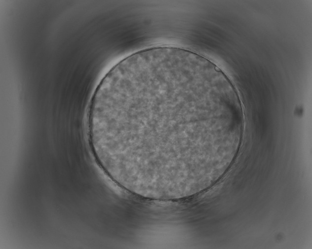 X0000094221056200711241717