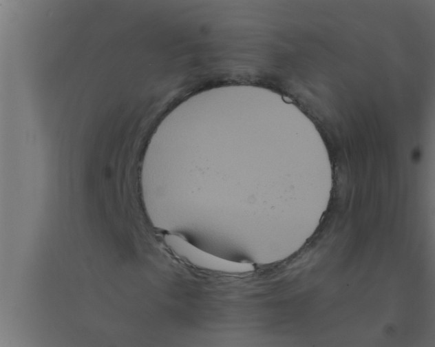 X0000094221057200711241717