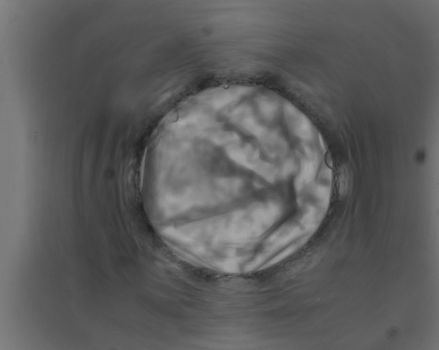 X0000094221059200711241716