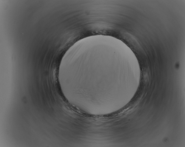 X0000094221060200711241716