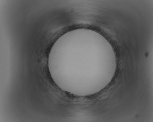 X0000094221061200711241716