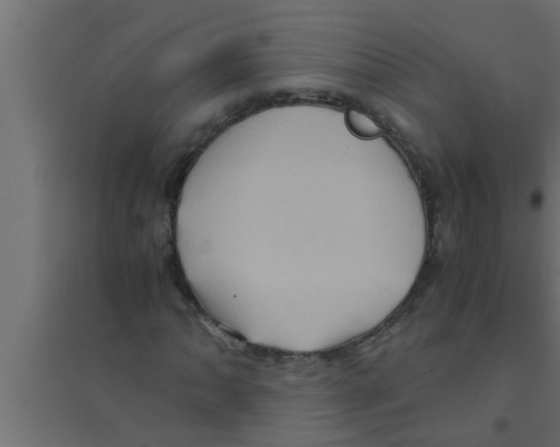 X0000094221062200711241716