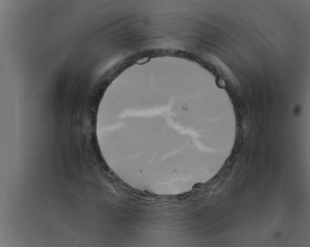 X0000094221064200711241716