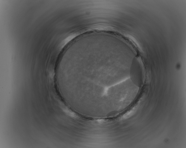 X0000094221065200711241716