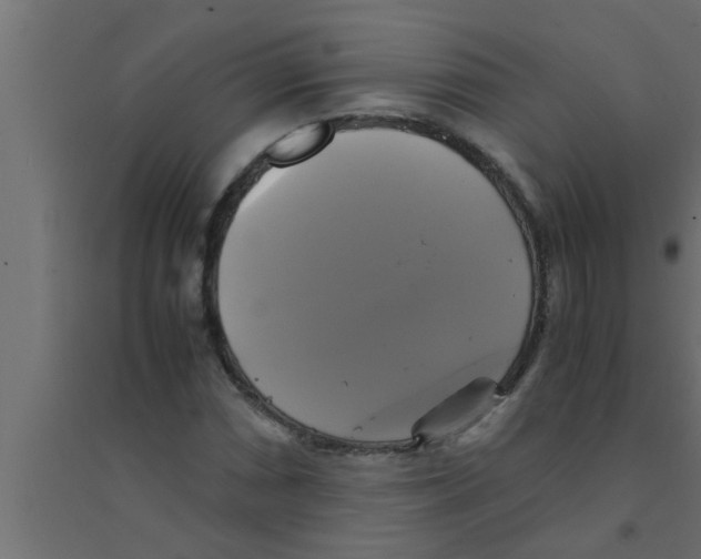 X0000094221066200711241716