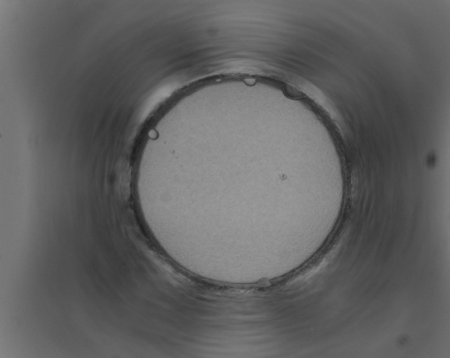 X0000094221067200711241716