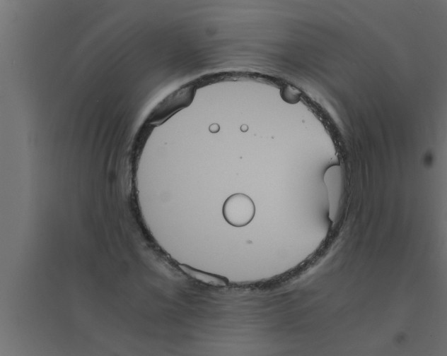 X0000094221069200711241716