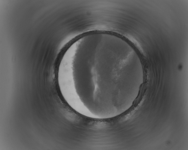 X0000094221070200711241716