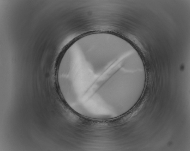 X0000094221071200711241716