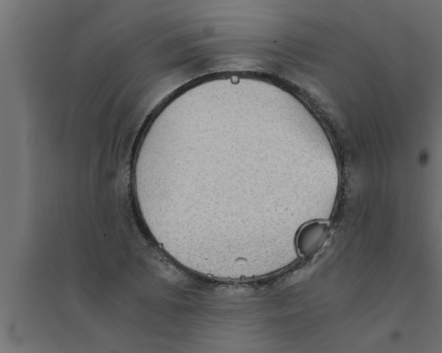 X0000094221073200711241716