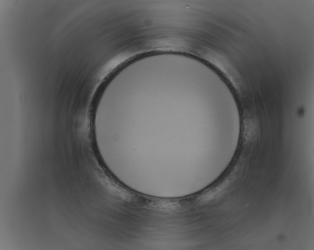 X0000094221074200711241716