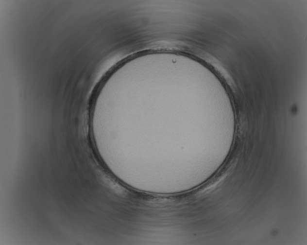 X0000094221075200711241716