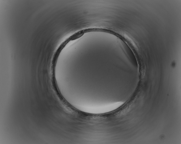 X0000094221077200711241716