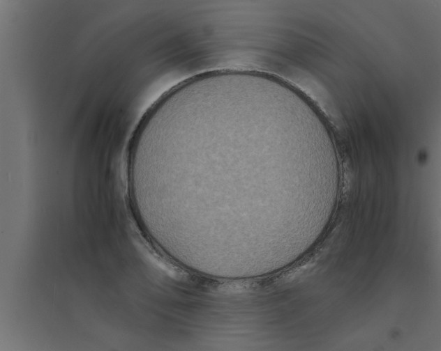 X0000094221078200711241716