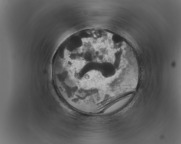 X0000094221079200711241716