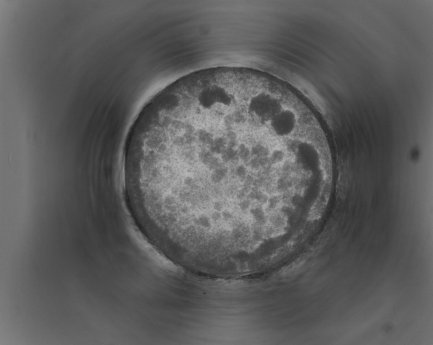 X0000094221080200711241716