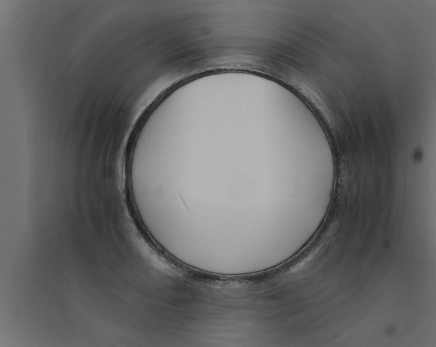 X0000094221082200711241716