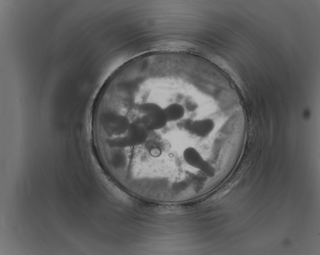 X0000094221083200711241716