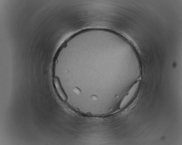 X0000094221085200711241716