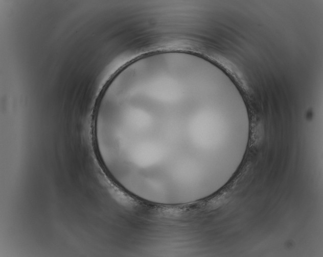 X0000094221086200711241716