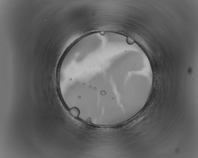 X0000094221087200711241716