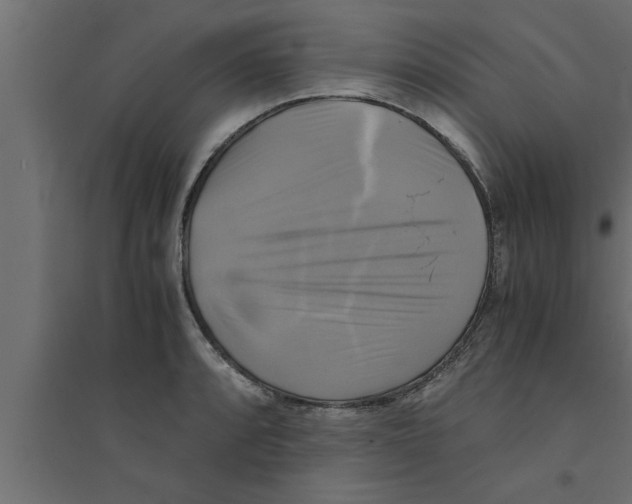 X0000094221088200711241716