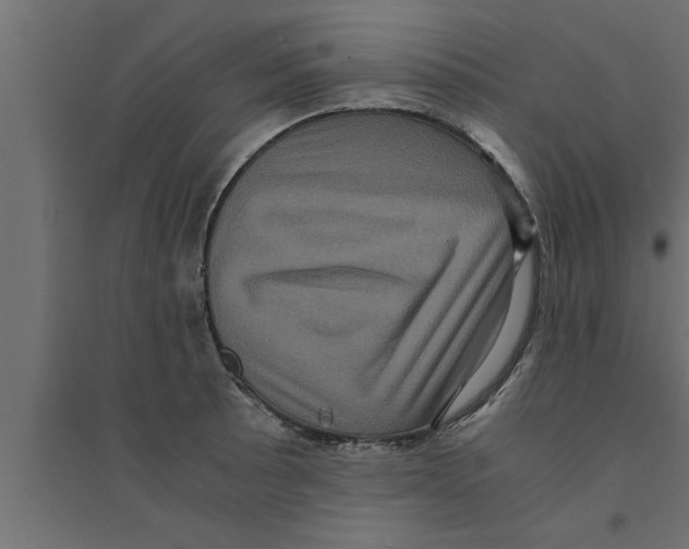 X0000094221089200711241716