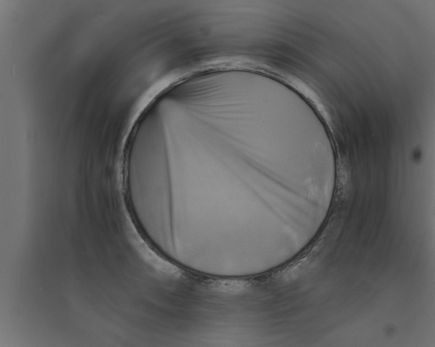 X0000094221090200711241716