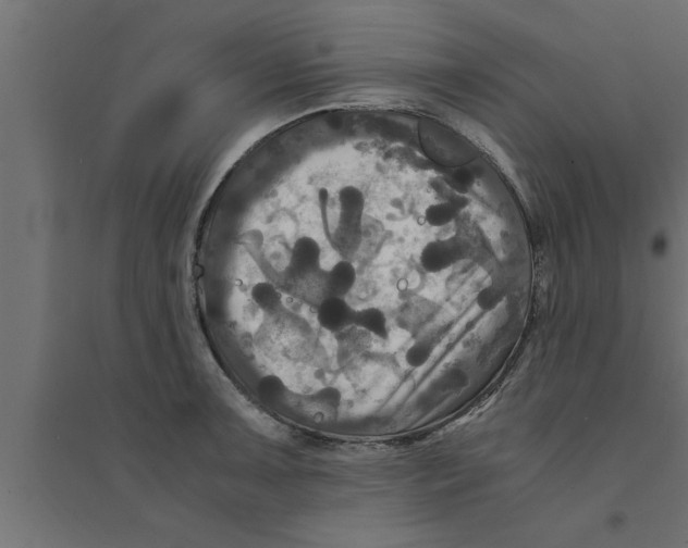 X0000094221091200711241716