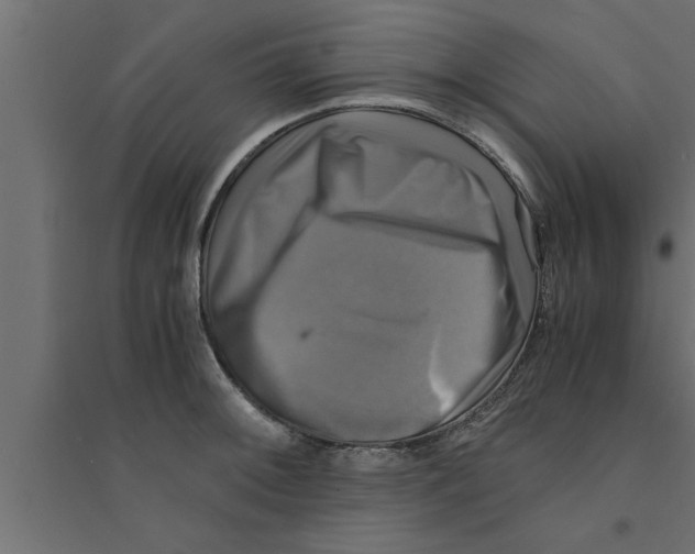 X0000094221092200711241716