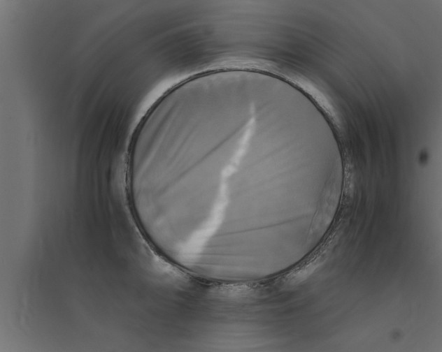 X0000094221094200711241716