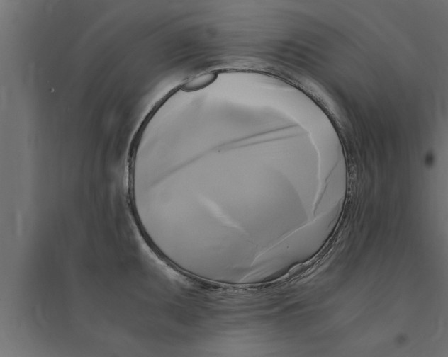 X0000094221095200711241716