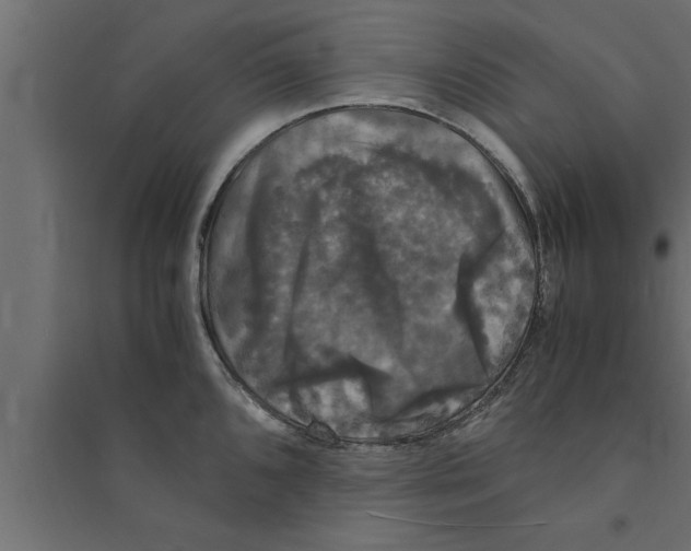 X0000094221096200711241716