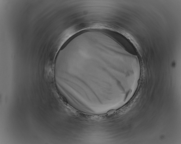 X0000094221097200711241716