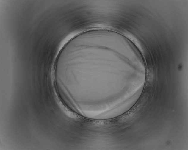 X0000094221098200711241716