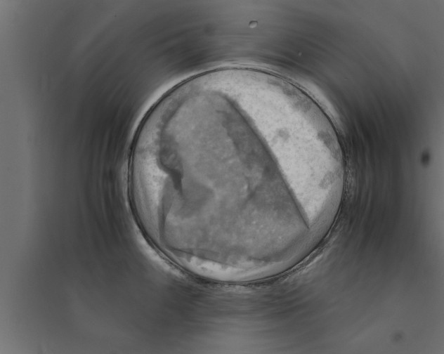 X0000094221100200711241716