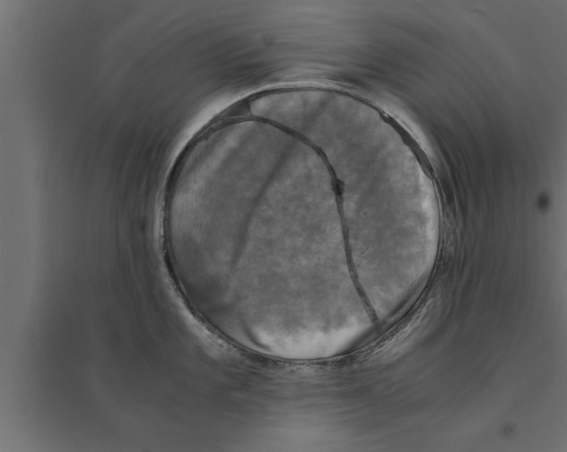 X0000094221101200711241716