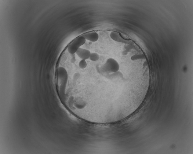 X0000094221103200711241716