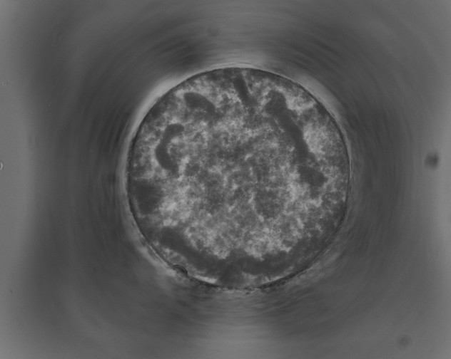 X0000094221104200711241716