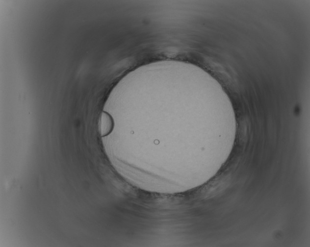 X0000094221105200711241715